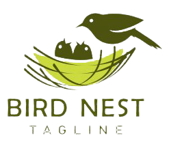 Nests Nature – Thương Hiệu Tổ Yến Sào Đến Từ Thiên Nhiên